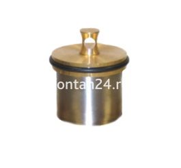 Пробка для сливного устройства 2" F7482003 Пробка для сливного устройства 2" F7482003